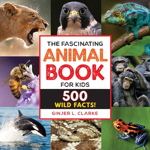 The Fascinating Animal Book for Kids: 500 Wild Facts! (Fascinating Facts) von Callisto Kids