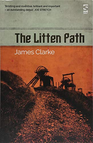 The Litten Path (Salt Modern Fiction)