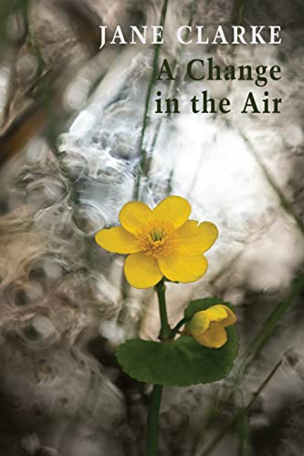 A Change in the Air von Bloodaxe Books