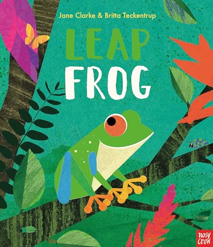 Leap Frog (Neon Picture Books) von Nosy Crow