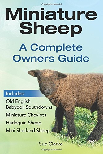 Miniature Sheep Complete Owners Guide: Includes Old English Babydoll Southdowns, Miniature Cheviots, Harlequin Sheep, Mini Shetland Sheep