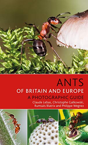 Ants of Britain and Europe (Bloomsbury Naturalist)