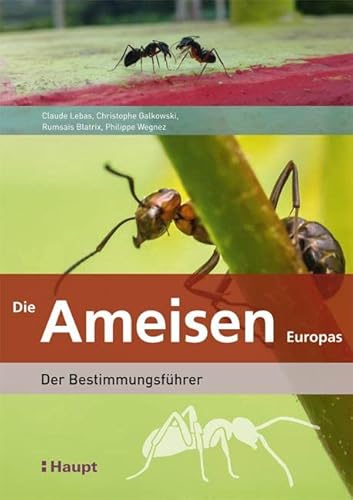 Die Ameisen Europas: Der Bestimmungsführer von Haupt Verlag AG