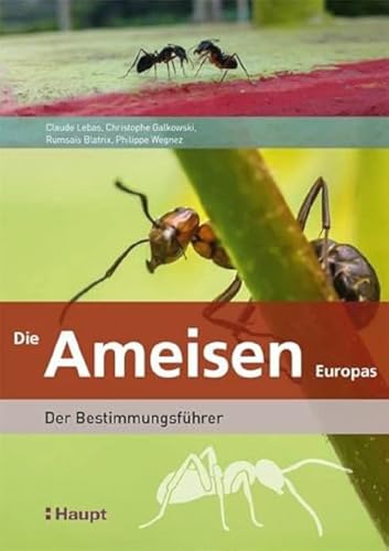 Die Ameisen Europas: Der Bestimmungsführer von Haupt Verlag AG