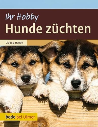 Hunde züchten Hunde züchten