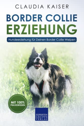 Border Collie Erziehung: Hundeerziehung für Deinen Border Collie Welpen von Independently published