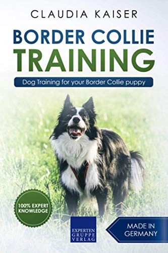 Border Collie Training: Dog Training for your Border Collie puppy von Independently published