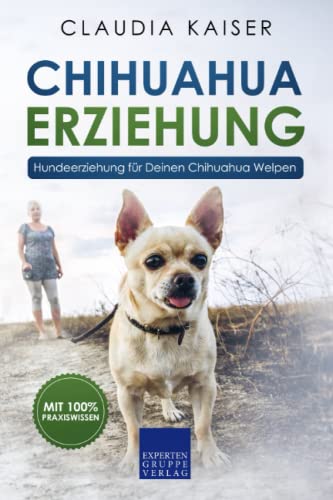 Chihuahua Erziehung: Hundeerziehung für Deinen Chihuahuawelpen