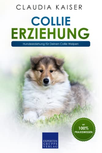 Collie Erziehung: Hundeerziehung für Deinen Collie Welpen Collie Erziehung: Hundeerziehung für Deinen Collie Welpen