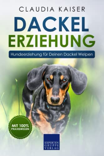 Dackel Erziehung: Hundeerziehung für Deinen Dackelwelpen (Teckel) von Independently published