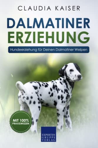 Dalmatiner Erziehung: Hundeerziehung für Deinen Dalmatiner Welpen