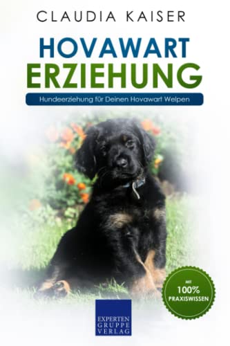Hovawart Erziehung: Hundeerziehung für Deinen Hovawart Welpen Hovawart Erziehung: Hundeerziehung für Deinen Hovawart Welpen