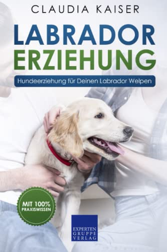 Labrador Erziehung: Hundeerziehung für Labrador Welpen