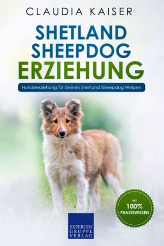 Shetland Sheepdog Erziehung: Hundeerziehung für Deinen Shetland Sheepdog Welpen