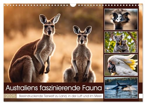 Australiens faszinierende Fauna (Wandkalender 2025 DIN A3 quer), CALVENDO Monatskalender