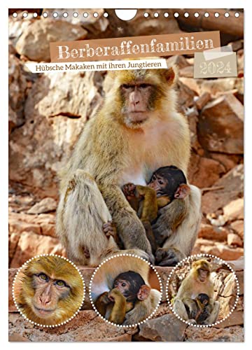 Berberaffenfamilien (Wandkalender 2024 DIN A4 hoch), CALVENDO Monatskalender