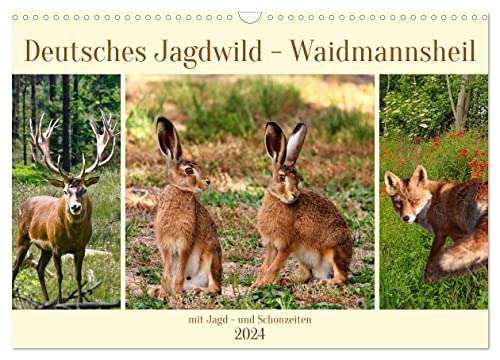 Deutsches Jagdwild - Waidmannsheil (Wandkalender 2024 DIN A3 quer), CALVENDO Monatskalender von CALVENDO