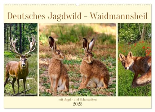 Deutsches Jagdwild - Waidmannsheil (Wandkalender 2025 DIN A2 quer), CALVENDO Monatskalender