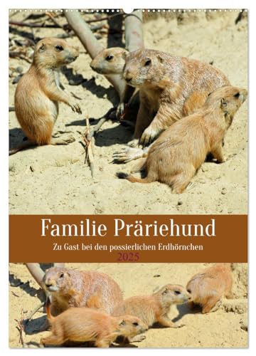 Familie Präriehund (Wandkalender 2025 DIN A2 hoch), CALVENDO Monatskalender von CALVENDO