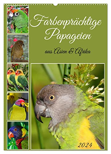 Farbenprächtige Papageien aus Asien und Afrika (Wandkalender 2024 DIN A2 hoch), CALVENDO Monatskalender