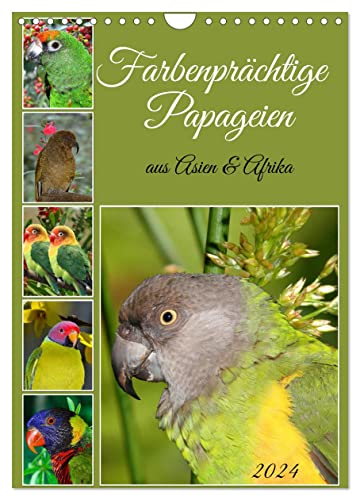 Farbenprächtige Papageien aus Asien und Afrika (Wandkalender 2024 DIN A4 hoch), CALVENDO Monatskalender von CALVENDO