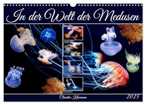 In der Welt der Medusen (Wandkalender 2025 DIN A3 quer), CALVENDO Monatskalender