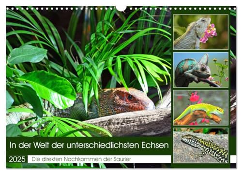 In der Welt der unterschiedlichsten Echsen (Wandkalender 2025 DIN A3 quer), CALVENDO Monatskalender