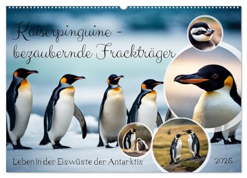 Kaiserpinguine - bezaubernde Frackträger (Wandkalender 2025 DIN A2 quer), CALVENDO Monatskalender