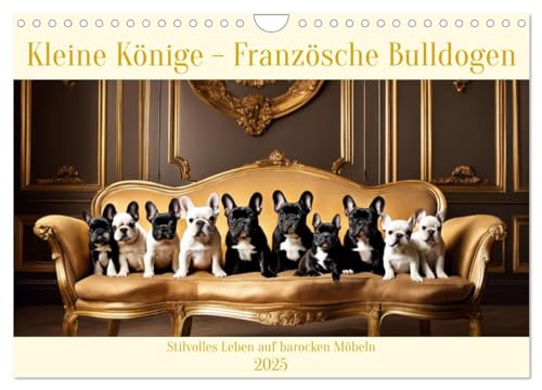 Kleine Könige - Französische Bulldoggen (Wandkalender 2025 DIN A4 quer), CALVENDO Monatskalender