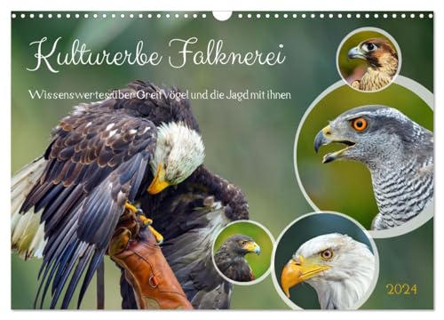 Kulturerbe Falknerei (Wandkalender 2024 DIN A3 quer), CALVENDO Monatskalender