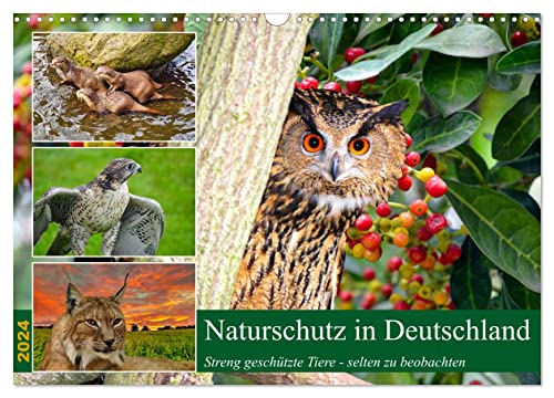 Naturschutz in Deutschland (Wandkalender 2024 DIN A3 quer), CALVENDO Monatskalender