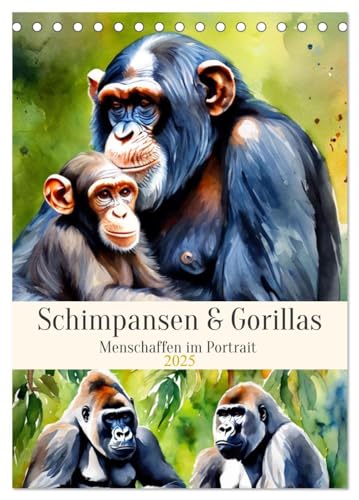 Schimpansen & Gorillas (Tischkalender 2025 DIN A5 hoch), CALVENDO Monatskalender
