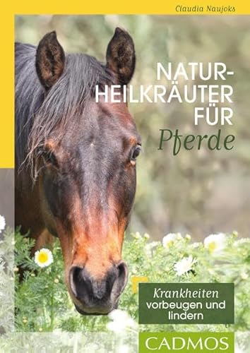 Naturheilkräuter für Pferde: Krankheiten vorbeugen und lindern (Cadmos Pferdebuch) von Cadmos Verlag GmbH