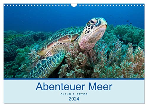 Abenteuer Unterwasser (Wandkalender 2024 DIN A3 quer), CALVENDO Monatskalender