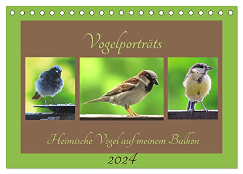 Vogelporträts - Heimische Vögel auf meinem Balkon (Tischkalender 2024 DIN A5 quer), CALVENDO Monatskalender von CALVENDO