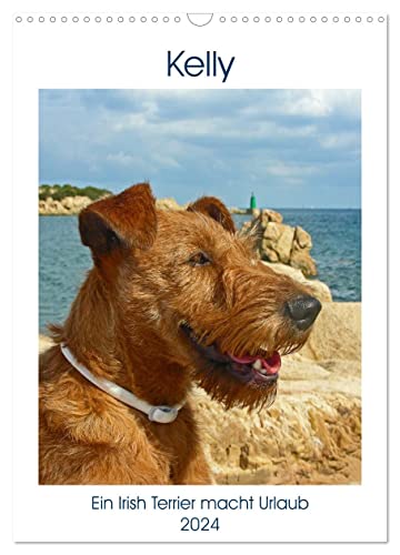 Kelly - Ein Irish Terrier macht Urlaub (Wandkalender 2024 DIN A3 hoch), CALVENDO Monatskalender