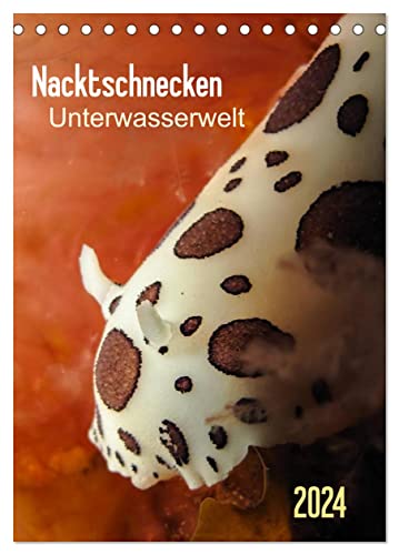 Nacktschnecken - Unterwasserwelt 2024 (Tischkalender 2024 DIN A5 hoch), CALVENDO Monatskalender von CALVENDO
