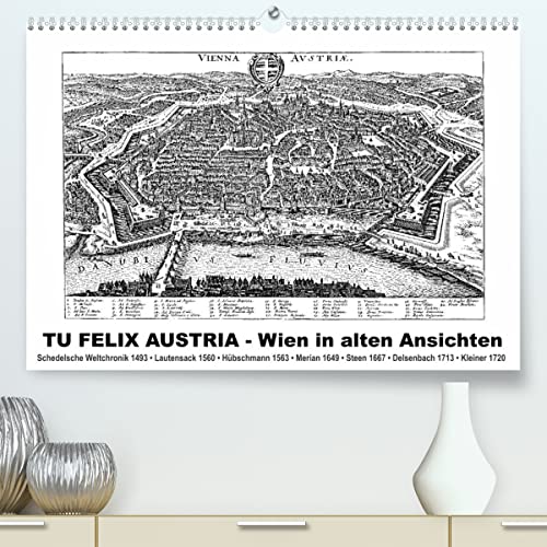 TU FELIX AUSTRIA - Wien in alten Ansichten (hochwertiger Premium Wandkalender 2024 DIN A2 quer), Kunstdruck in Hochglanz