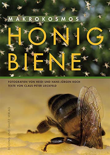 Makrokosmos Honigbiene von Dlling und Galitz Verlag