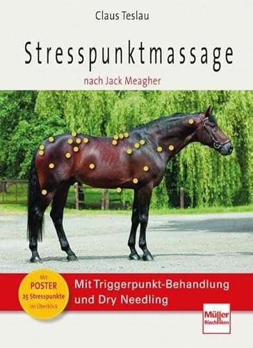 Stresspunktmassage nach Jack Meagher: Mit Triggerpunkt-Behandlung und Dry Needling von Mller Rschlikon