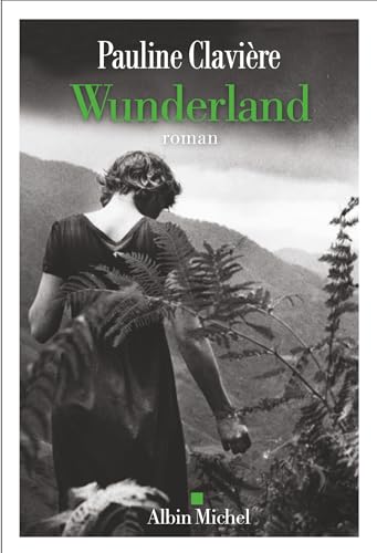 Wunderland: Où danse un peu du désastre et de la magie du monde von ALBIN MICHEL