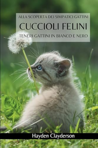 Cuccioli Felini- Teneri Gattini in Bianco e Nero: Alla scoperta dei simpatici gattini. Libro fotografico in bianco e nero von Blurb