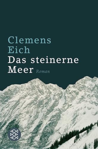 Das steinerne Meer: Roman