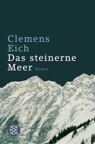 Das steinerne Meer: Roman von FISCHER Taschenbuch