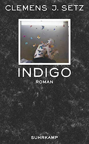 Indigo: Roman (suhrkamp taschenbuch) von Suhrkamp Verlag AG