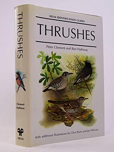 Thrushes (Helm Identification Guides)