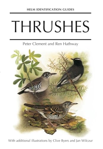 Thrushes (Helm Identification Guides)