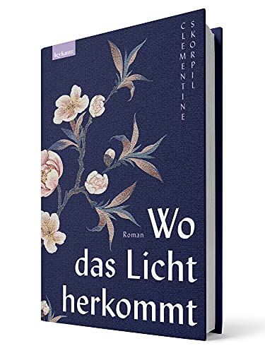 Wo das Licht herkommt - Roman