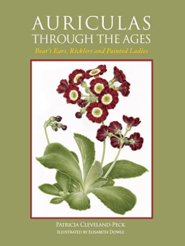 Auriculas Through the Ages: Bear's Ears, Ricklers and Painted Ladies