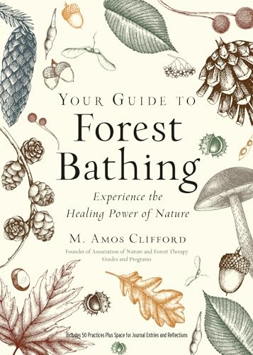 Your Guide to Forest Bathing: Experience the Healing Power of Nature von Red Wheel